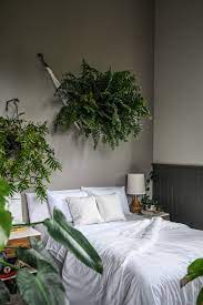 Pin By Emily Schroder On Home Decor Decor Plant Decor Indoor Home Decor