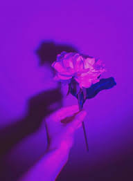 We did not find results for: Pin By Dorothy Jiang On Aesthetics Purple Aesthetic Dark Purple Aesthetic Purple Aesthetic Background