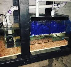 Yaitu tangki akuarium berbahan kaca dan berbahan akrilik. Memilih Filter Terbaik Untuk Aquarium Udang Hias Aquaama