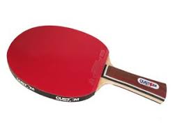 The eastfield allround professional table tennis bat was designed to be the perfect racket for players that are learning the game. Home Custom Table Tennis