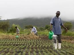 Overview of the agriculture sector in malaysia. Impact Of Sustainable Agriculture And Farming Practices