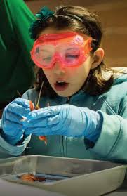 Cincinnati Shakespeare