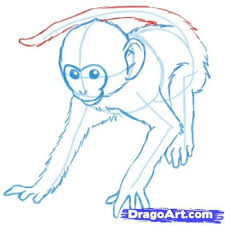 How To Draw Monkeys Step By Step Rainforest Animals Animals Free Online Drawing Tutorial Added By Puzzl Monkey Drawing Animal Drawings Monkey Drawing Easy