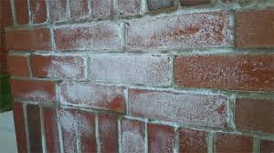 If you're seeing efflorescence in your basement, foundation or crawl space, that means there are other problems hiding right under the surface. Basement Questions Efflorescence