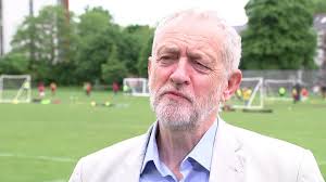 105 Harriet Cooper Stock Videos, Footage, & 4K Video Clips