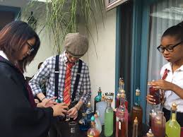 Harry Potter And The Goblet Of Fire Quidditch World Cup Teams Making Potions In Potion Class For The Opposing Team To Consume During Tabletop Quidditch Diy Harrypotter Flipag With Images Harry Potter Party To My Daughter Quidditch