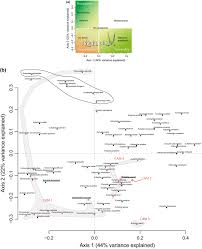 Image result for Eulophia acutilabra