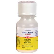 Image result for Cefadroxil