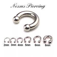 Large Gauge 2mm To 10mm Horseshoe Piercing Surgical Steel Prince Albert Septum Ebay Large Gauges Piercing Horseshoe