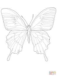 Ulysses Butterfly Super Coloring Butterfly Coloring Page Butterfly Drawing Butterfly Sketch