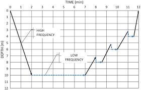 Evaluation Of Vibratory Compaction By In Situ Tests