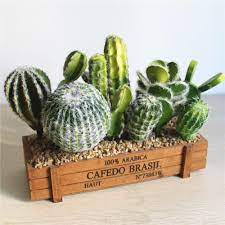 Cactus Plants Artificial Succulent Plants Cactus Plants Planting Succulents