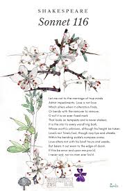 Sonnet 116 Marriage Of True Minds Love Poem By Shakespeare Famlii Sonnet 116 Shakespeare Sonnets Shakespeare Love Poems
