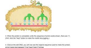 If a mutation occurs in the coding region of a gene, it can change the amino acid sequence of the protein (the gene . Dna Simulation Worksheet Pdf Simulation Dna Is 11