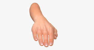 Female Arm Pose C 3d Model Poses 3d Model Model