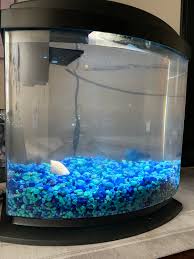 Betta fish are tropical fish and need a heater. Remember Me I Put My Betta In A Vase Well Here S His New Tank Thanks For Opening Up My Eyes Guys Working Filter Air Hole Gravel He Has It All It S All