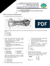 Sinyal tersebut diterima kembali setelah 12 sekon. Soal Ulangan Harian Sistem Pendnegaran