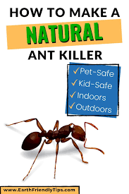 Pin On Natural Living
