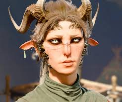 Hi! This is huge pet peeve of mine and I need to rant. In D&D and BG3  Devils are not Demons! Devils and Demons are the opposite parties of the  Blood War.