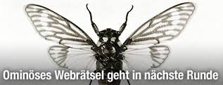 Cicada 3301 left a series of clues in major cities around the world, and referenced books harkening back to ancient occult mystery schools and connecting it to modern day technologies and existentialism. Cicada 3301 Ominoses Webratsel Geht In Nachste Runde News Orf At