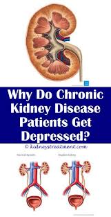 Chronic Kidney Disease Articles Kidney Disease Chronic Kidney Disease Kidney Disease Symptoms