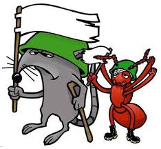 Description:accurate pest control of southern california, ca serves customers. Accurate Termite Pest Solutions Home Facebook