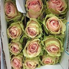 Hours may change under current circumstances Phillip S Wholesale Floral Service 524 N Cass Ave Westmont Il Florists Mapquest