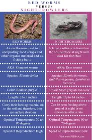 10% of every sale goes directly to josh's cans. What Is The Difference Between Red Worms And Nightcrawlers Pediaa Com