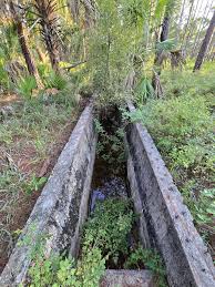 Image result for dip vat