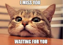 Maybe you would like to learn more about one of these? Cutest I Miss U Meme All The Time Memes Point Memes Point