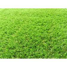 Artificial Grass Synthetic Lawn Turf Sold By 26 In W X Synthetic Lawn Artificial Grass Rug Lawn Turf