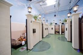 31166 via colinas westlake village ca 91362. Barkley Park Suites At The Barkley Pet Hotel Spa Dog Boarding Kennels Luxury Dog Kennels Dog Hotel