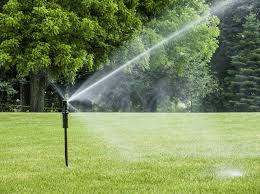 Make your searches 10x faster and better. What S The Best Time To Water Lawns In Tennessee Mississippi
