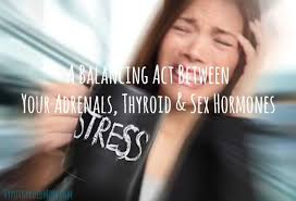 Improper storage could be destroying your thyroid medication