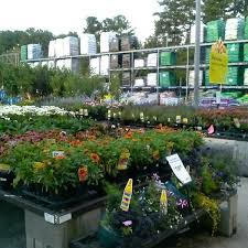Tripadvisor has 15,837 reviews of stone mountain hotels, attractions, and restaurants making it your best stone mountain travel resource. Lowe S Hardware Store In Lilburn