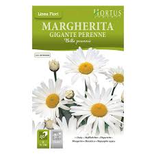 Fiori tipo margherite grandi, girasoli o gerbere. Margherita Gigante I Migliori Semi Da Fiore Solo Su Bestprato Com