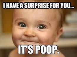 surprise funny baby pictures funny babies baby memes