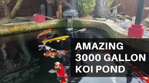 If your koi pond is about 1,000 gallons, you may want to install a filter that is recommended for 1,500+ gallons. Amazing 3000 Gallon Koi Pond And Superb Bonsai Must Watch Youtube