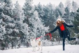 Temperature, precipitazioni, soleggiamento, statistiche climatiche. Lláˆ Ciudades Mas Frias De Canada Temperatura Minima Top 5