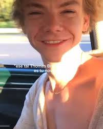 Explorando la conexión entre Thomas y Newt en Maze Runner