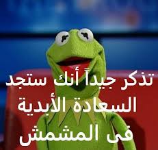 في المشمش ان شاء الله ههههههههههه Funny Arabic Quotes Crazy Funny Memes Funny Comments