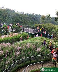 Sejak pertama kali menapakkan kaki disini, pengunjung akan dibuat takjub dengan. Harga Tiket Masuk Farmhouse Lembang Bandung Juli 2021 Wisatakaka