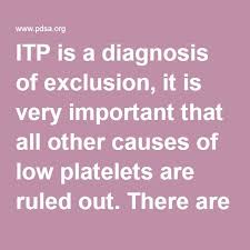 Pin On Itp