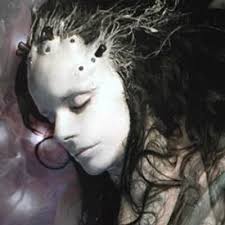 RoBERT (Officiel) (@robertofficiel)