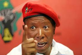 Among the issues, the president is expected to r. Resolute Julius Malema Starts Process To Try Have Jacob Zuma Impeached