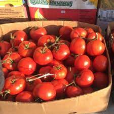 Seminte de legume, hibrizi, seminte de tomate, ardei, vinete, castraveti, conopida, salata, fasole, dovlecei, varza alba, pepeni verzi, pepeni galbeni. Legume Fructe Matca