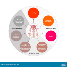 Um mit sicherheit behaupten zu können, dass ein mittel wie wincent weiss logo ww seinen zweck erfüllt, müssen sie sich die erlebnisse und ansichten anderer nutzer im web anschauen.forschungsergebnisse können fast nie als hilfe genutzt werden, denn in. From Ancient To Emerging Infections The Odyssey Of Viruses In The Male Genital Tract Physiological Reviews
