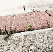 1,052 brownsville tx premium high res photos. Who Do You Go To When You Need Help Frontlines U M School Of Public Health