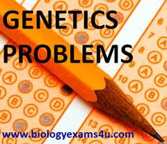 Population Genetics Calculating Gene Frequency Genetics Life Science Biology