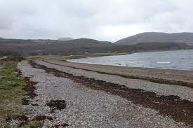 Ingrese el código de la imagen: Cuil Bay Wildlife In Lochaber Ardnamurchan And The West Highlands